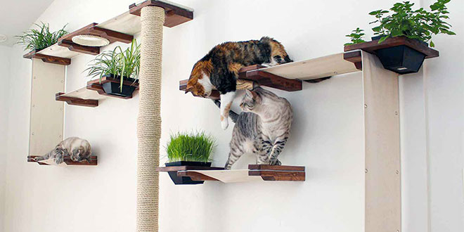 mensole tiragraffi a prova di gatto