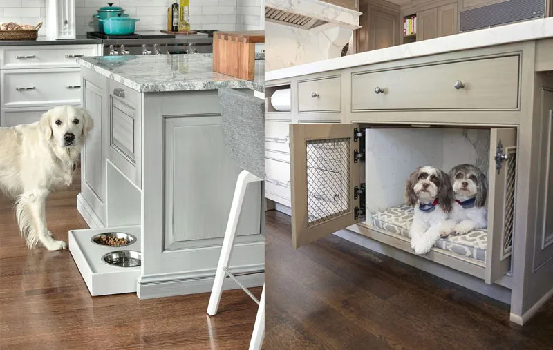 cucine a misura di cane