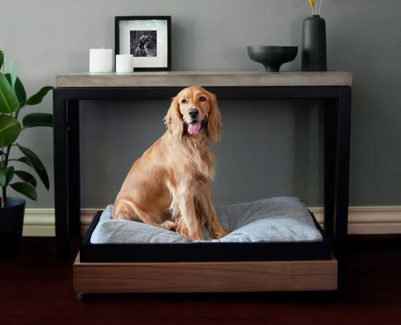 consolle di design con cuccia per il cane incorporata